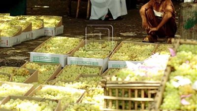 تعرف على أسعار الخضراوات والفاكهة في سوق الجملة بأكتوبر