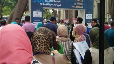 فرص عمل للشباب بمحافظة الجيزة.. تعرف عليها