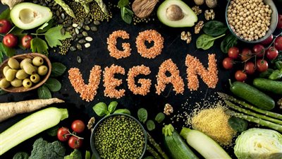 أستاذ بجامعة هارفارد يكشف خطورة النظام النباتي الكامل على الصحة