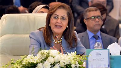 وزيرة التخطيط تلتقي بمجموعة من المؤثرين في مواقع التواصل الاجتماعي بدولة الإمارات