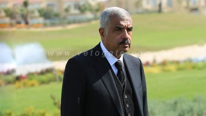 طلعت مصطفي ، فيتو