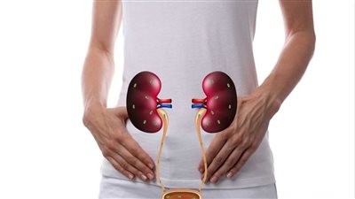 علاج التهاب المسالك البولية.. وأسباب الإصابة وطرق العلاج من الطبيعة