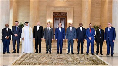 السيسي يؤكد أهمية تكثيف الجهود لتحقيق أقصى استغلال للغاز الطبيعي 