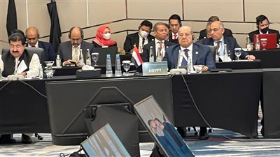 رئيس الشيوخ من إندونيسيا: السبب الحقيقي للإرهاب هو الاحتلال الإسرائيلي لفلسطين