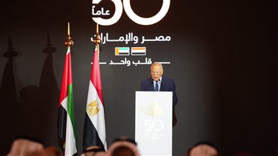 أحمد أبو الغيط: الإمارات من أكبر الداعمين لـ«الجمهورية الجديدة»