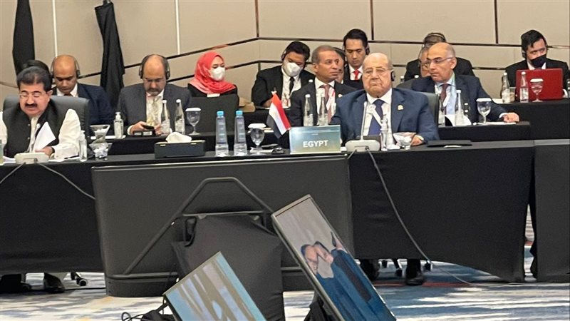 رئيس مجلس الشيوخ