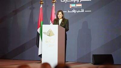 التخطيط: ضخ 4 مليارات دولار عبر المنصة الاستثمارية بين الصندوق السيادى وأبو ظبى القابضة