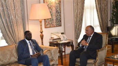 سامح شكري يستقبل وزير الخارجية والتعاون الدولي الجامبي