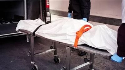 حاول سرقة مواطن وزوجته بالإكراه.. مقتل شخص في المنوفية