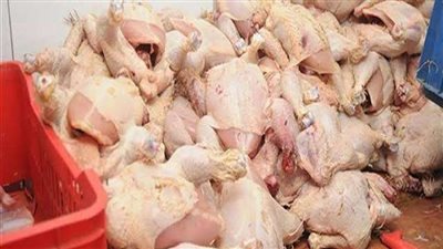 ضبط 5 أطنان دجاج فاسد في ثلاجة بحي بولاق الدكرور