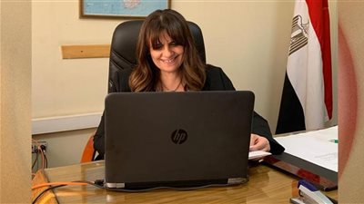 وزيرة الهجرة تبحث مع مهندس مصري بفنلندا التعاون في التدريب المهني للشباب