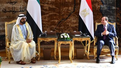 السيسي يؤكد لحاكم دبي أن مصر والإمارات وشعبيهما الشقيقين يجمعهما علاقات مودة وروابط تاريخية ومصير مشترك