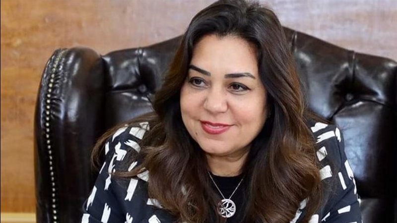 محافظ دمياط