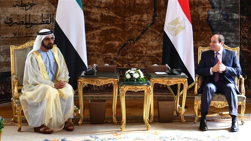 الرئيس السيسي وحاكم