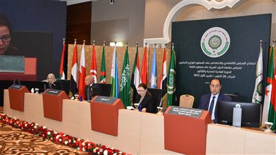 وزيرة التجارة التونسية: هناك ضرورة للتوجه نحو اتحاد جمركي عربي