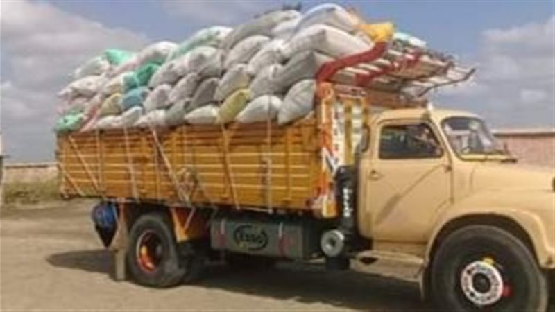 توريد القمح بمحافظة