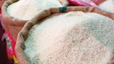 ارتفاع أسعار الأرز السائب وانخفاض المعبأ، وهذه قائمة بأسعارهما في الأسواق