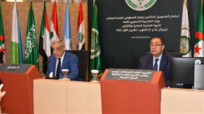 حسام زكى: توافق وزراء الخارجية حول القضايا المعروضة على القمة العربية