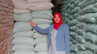 ضبط سيارة محملة بـ115 شيكارة دقيق بلدى مدعم قبل تهريبها بالبدرشين