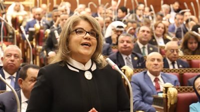 وكيل الشيوخ: تعديل قانون تنظيم الاتصالات لمواجهة فوضى المعدات