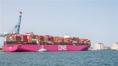 تداول 34 سفينة بضائع متنوعة بميناء دمياط 