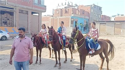 يارا وحبيبة ومحمد.. حكاية عائلة نجحت في تدريب الخيول على الرقص بالدقهلية | فيديو