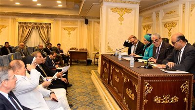 قيمتها 300 جنيه.. النص الكامل لقانون العلاوة الاستثنائية للموظفين وأصحاب المعاشات