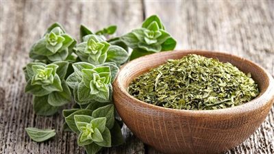 يخفف من أعراض التهاب الشعب الهوائية.. فوائد الزعتر الصحية 