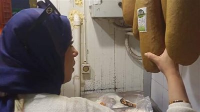 إعدام 14 كيلو أغذية فاسدة وتحرير 17 محضرا بحملة مكبرة فى الإسكندرية 