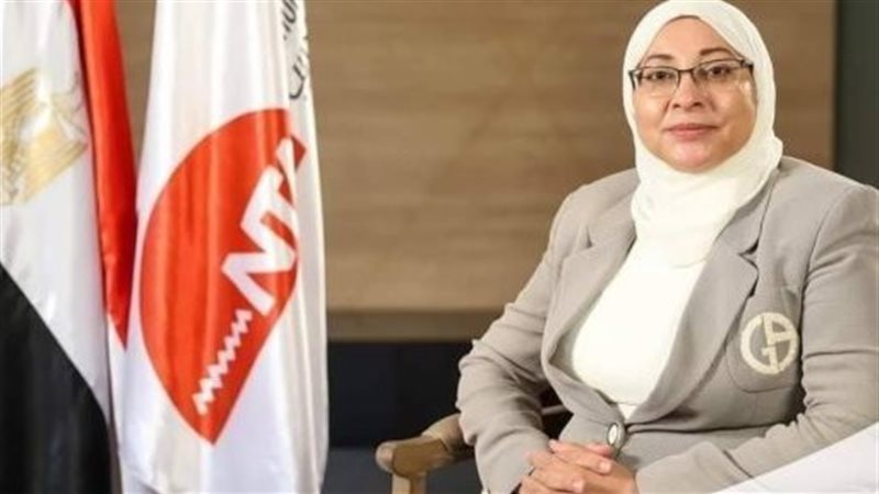 المهندسة جيهان عبد