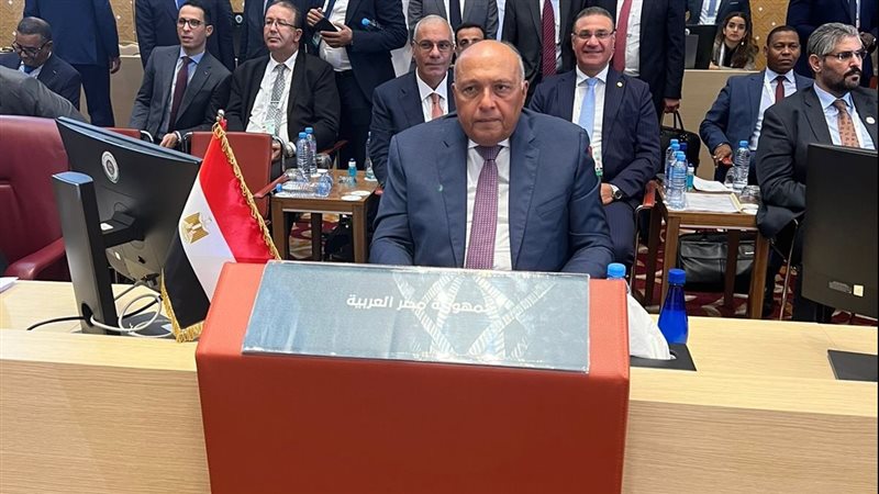 سامح شكري وزير الخارجية