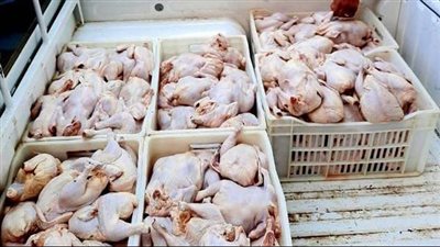 ضبط 10 أطنان دواجن في حملة تموينية بحي الهرم 