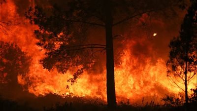 خبير مركز علوم الفضاء: أوروبا تتراجع عن استخدام الوقود الأحفوري لهذه الأسباب | فيديو