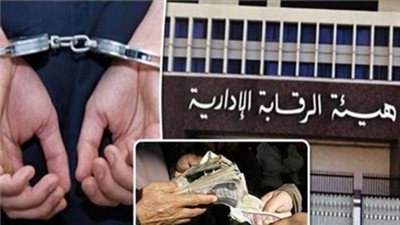 استمرار حبس رئيس شركة ريجوا التابعة لوزارة الزراعة والنيابة تطلب ضبط متهمين آخرين 