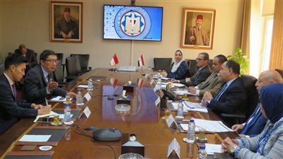 وزير المالية: الاقتصاد المصري أصبح أكثر جذبًا للاستثمارات بمؤشرات جيدة