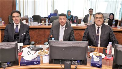 رئيس مصر للتأمين: 10.4 مليار جنيه إجمالى أقساط التأمين خلال العام المالي 2021/2022