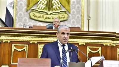 نائب: ارتفاع غير مسبوق في أسعار السلع.. وزيادة أجور القطاع الخاص 