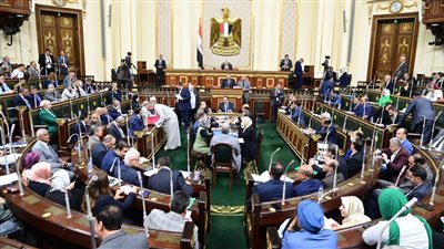 نائب: وزيرا الكهرباء والتضامن بيدبحوا الغلابة.. والناس بتاكل هياكل الفراخ