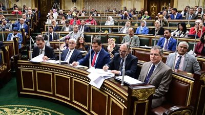 تشمل الموظفين وأصحاب المعاشات.. النص الكامل لقانون العلاوة الاستثنائية لمواجهة الغلاء