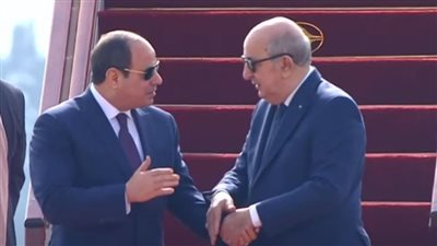  مباحثات مصرية جزائرية بمطار هواري بو مدين