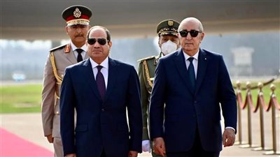 لحظة وصول السيسي مقر انعقاد القمة العربية برفقة الوفد المصري| فيديو 