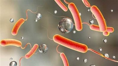 الصحة العالمية: اللقاح المضاد للكوليرا فعال ويحمي من الإصابة 3 سنوات 