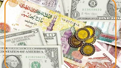 الجنيه المصري ليس الأبرز.. أكثر 10 عملات خسارة أمام الدولار خلال 2022|إنفوجراف 