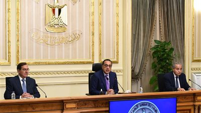 قرار حكومي سار للمصريين 