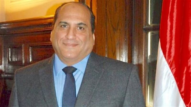  الدكتور حسن الفولي
