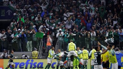 قبل ثلاث جولات على النهاية.. بالميراس يمدد رقمه القياسي بفوزه بلقب الدوري البرازيلي