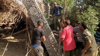 إزالة 112 إعلانا مخالفا وبدون ترخيص من شوارع الشرقية