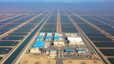 مؤتمر المناخ 2022.. فرصة ذهبية لتحويل المأمول إلى واقع.. وتجاهل التنفيذ يؤدي لتفاقم التهديدات