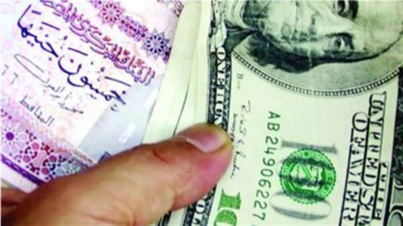 الدولار 