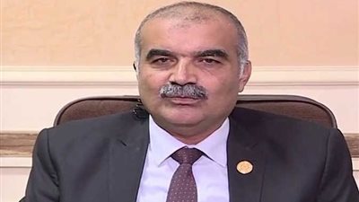  رئيس حي الدقي يفوز بالمركز الأول على مستوى الجمهورية في المشروعات المحلية الصغيرة